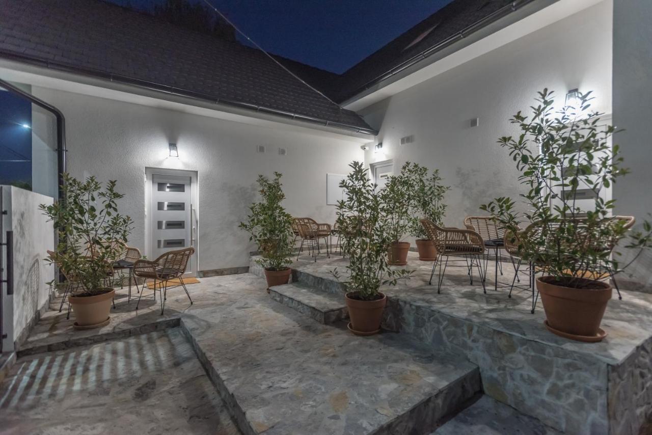 Vila Pobeda Banja Koviljača エクステリア 写真