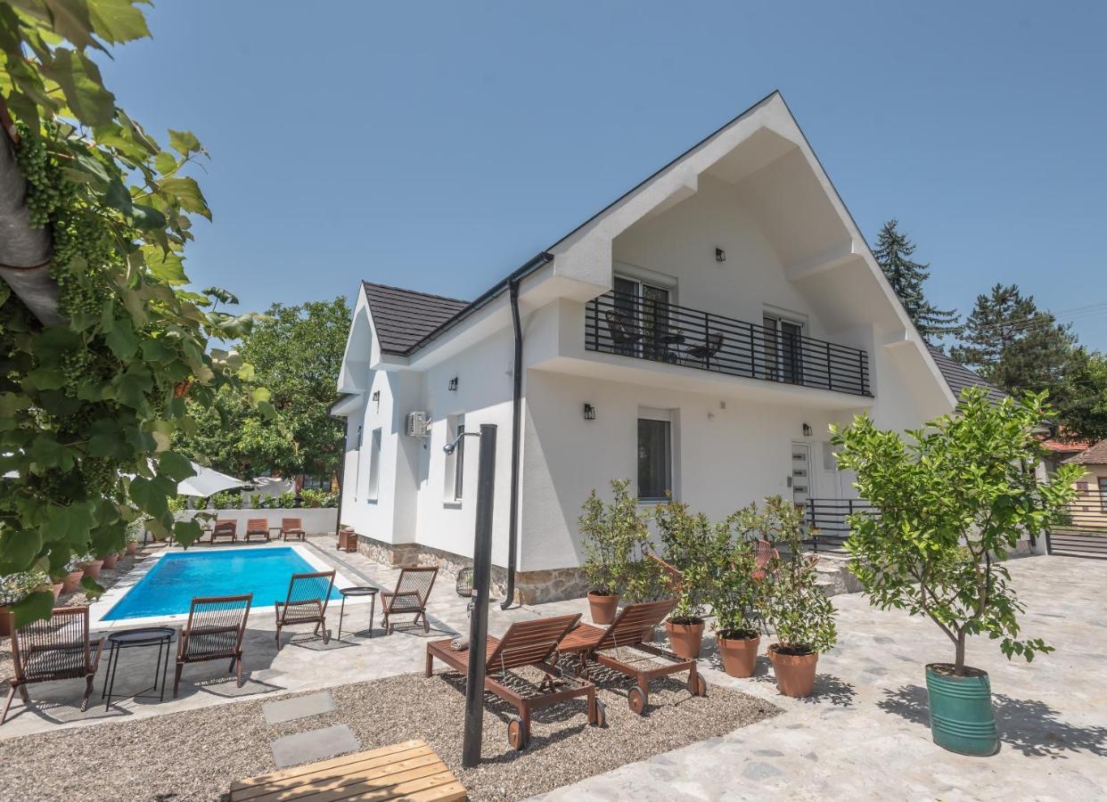 Vila Pobeda Banja Koviljača エクステリア 写真